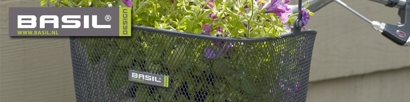 Basil