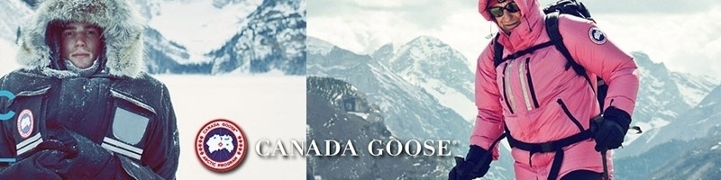 Canada Goose