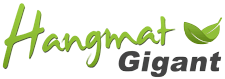 HangmatGigant.nl